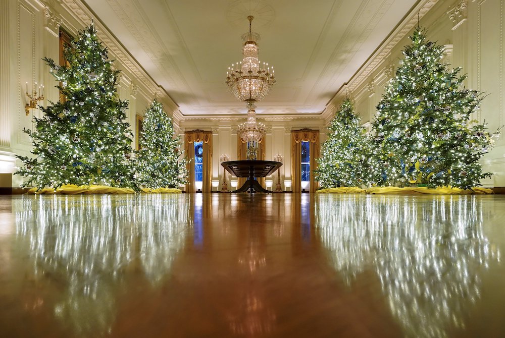 Christmas trees in the East Room of the White House in Washington Nov. 30 (CNS/Reuters/Kevin Lamarque)