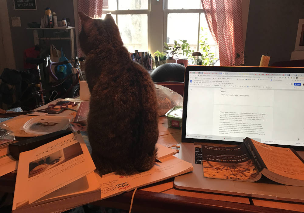 What reminds you to take a break? Sometimes the author’s cat makes it impossible to work and reminds her it is good to pause. (Brenna Davis)