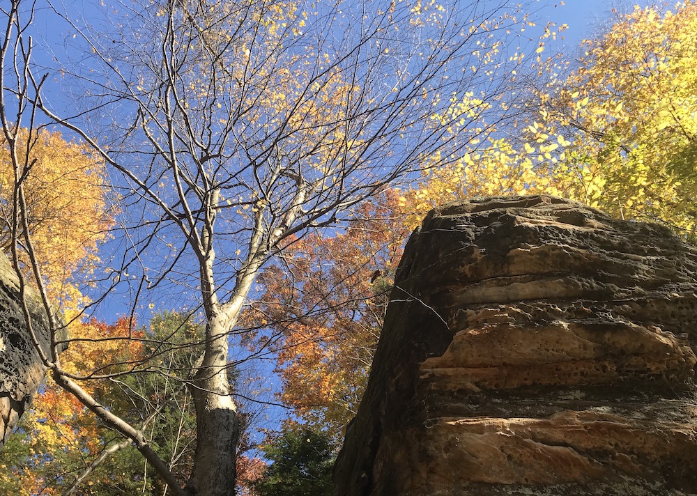 Photo of large rock and autumn trees. (Brenna Davis)