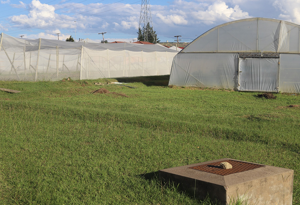 The Sisters of St. Joseph of St.-Hyacinthe manage these greenhouse structures at their convent in Sekamaneng, a town located 4 miles from the capital Maseru. The sisters plant vegetables in the greenhouses. (GSR)