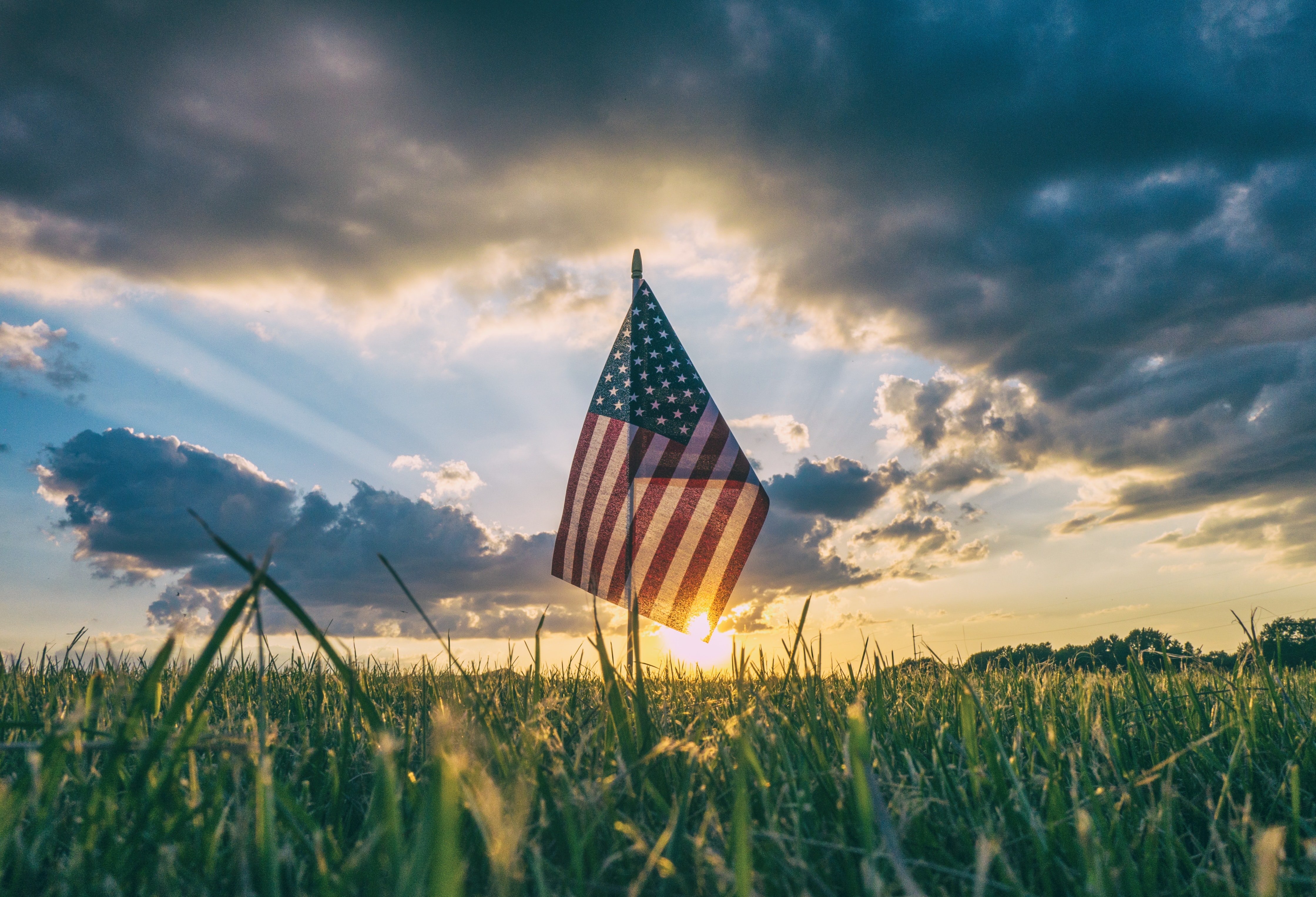 (Unsplash/Aaron Burden) (Unsplash/Aaron Burden)