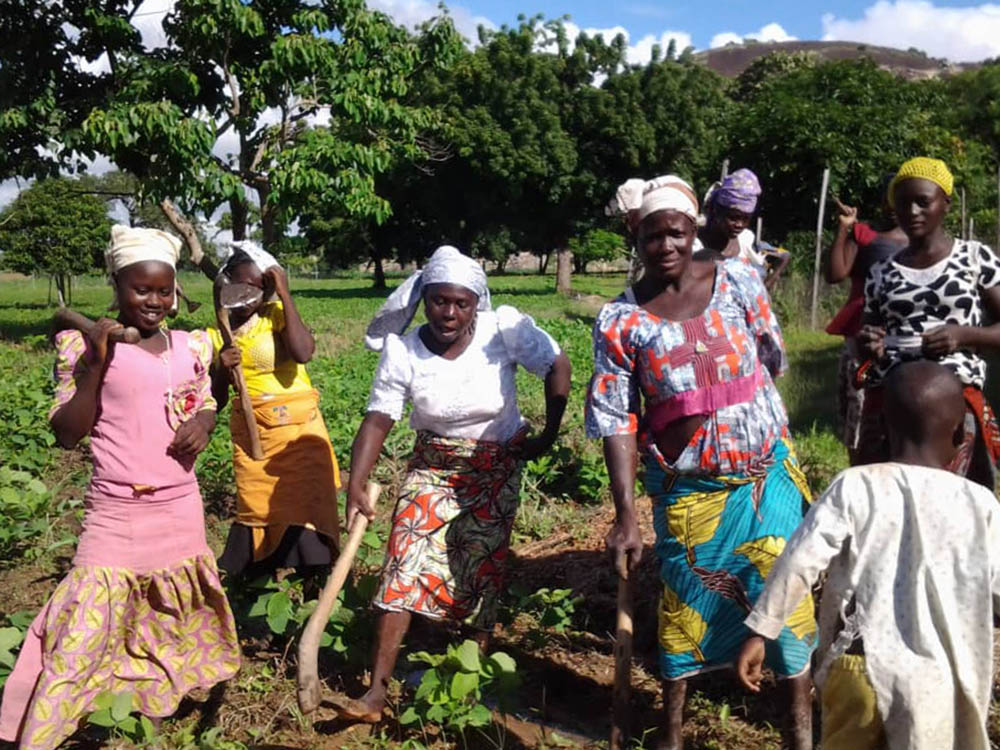 Small farmers in northern Nigeria practice techniques aimed at helping them withstand the threats posed by a warming climate. (Courtesy of Missionary Sisters of Our Lady of the Apostles)