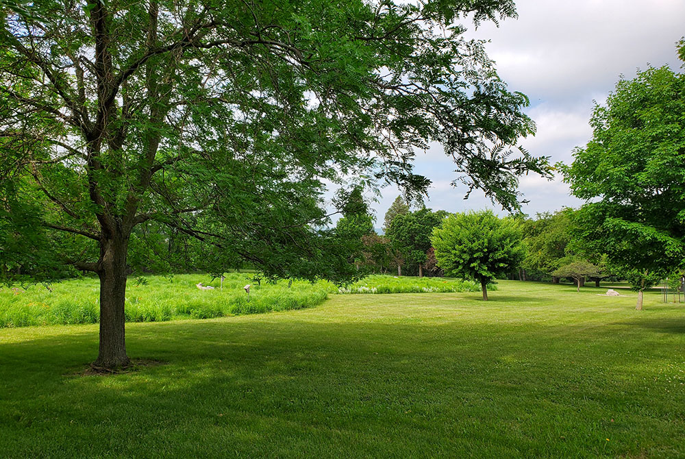 The Sisters of St. Francis decided to protect the land for its natural beauty and spiritual significance, and as a symbol of conservation in the growing Rochester, Minnesota, area. (EarthBeat photo/Brian Roewe)