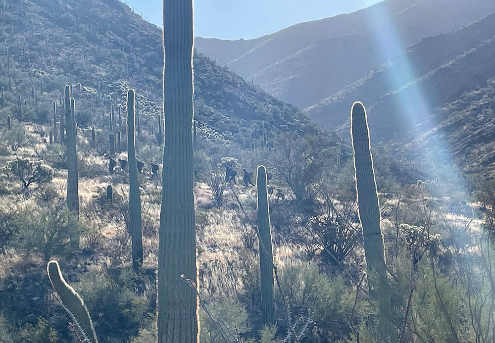 During an October 2021 water drop, Ajo Samaritans and volunteers encounter migrants in the Sonoran Desert outside Ajo, Arizona.