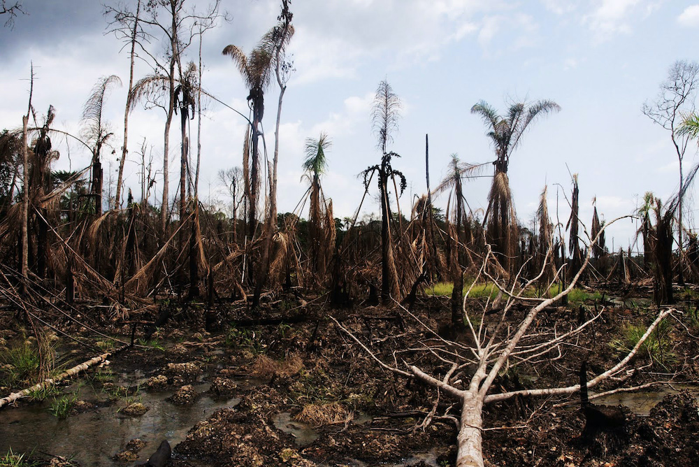 Oil spill damage in the Niger Delta region, April 6, 2010 (Flickr/Sosialistisk Ungdom)