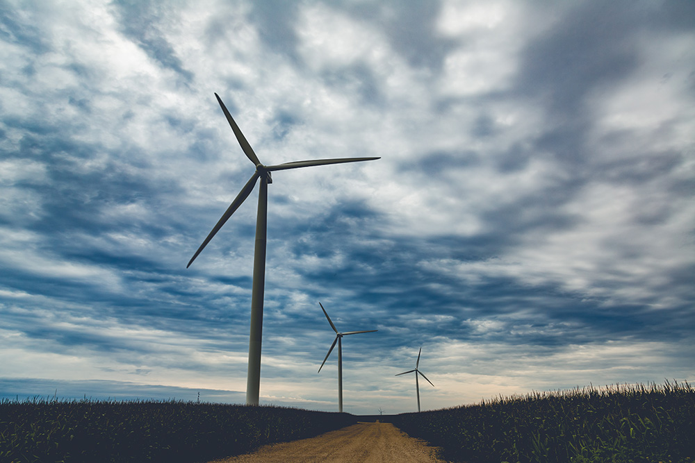 Wind turbines are seen at Pioneer Prairie Renewable Energy Wind Farm in northeast Iowa. (Wikimedia Commons/Tony Webster)