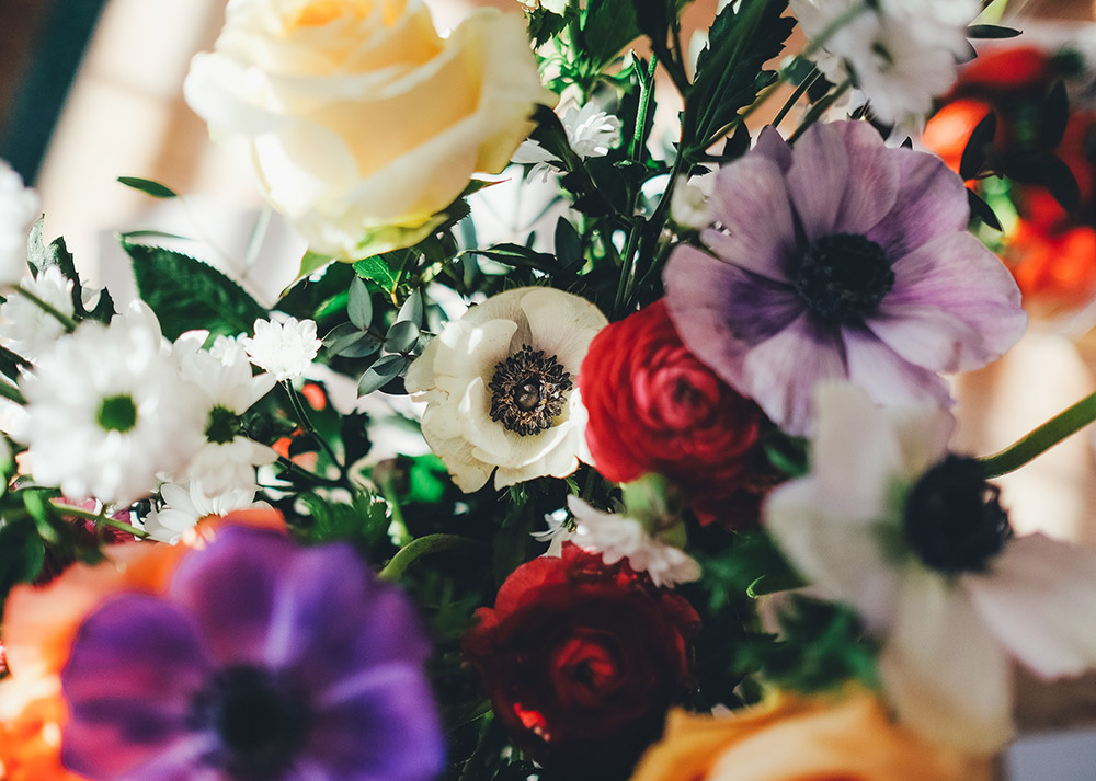 Flowers (Unsplash/Annie Spratt)