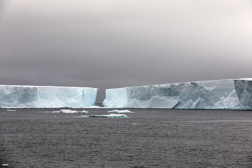 Glaciers and icebergs in Antarctica (Mongabay)