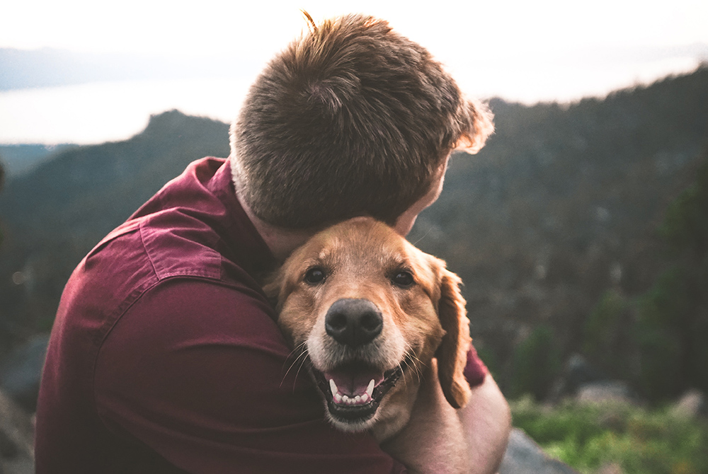 Photo illustration of man hugging a dog (Unsplash/Eric Ward)