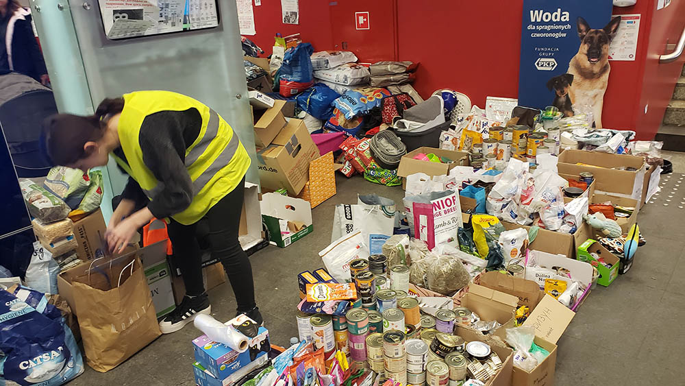 Volunteers welcoming refugees from Ukraine have also welcomed the refugees' pets, with this spot at the main train station in Krakow, Poland, providing pet food and supplies. (NCR photo/Chris Herlinger)