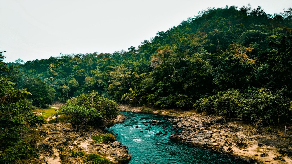 (Unsplash/Jaswanth Kalaga)