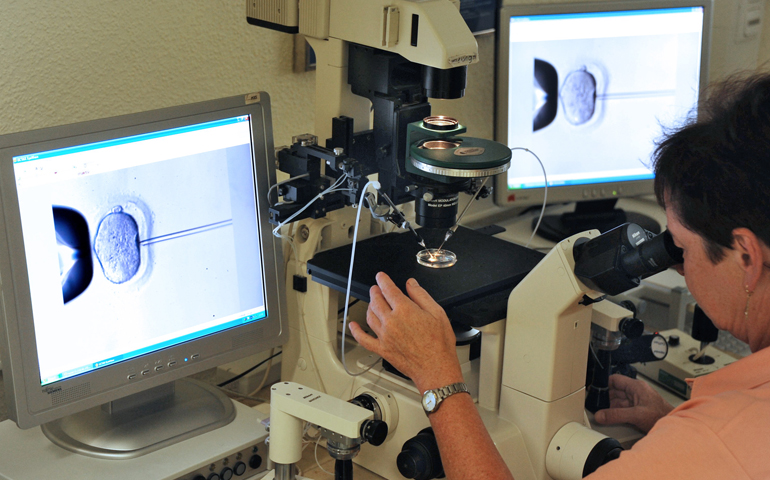 A laboratory director inspects the microinjection of sperm into an egg cell using a microscope in 2011 at a vitro fertilization clinic in Leipzig, Germany. (CNS/Waltraud Grubitzsch, EPA)