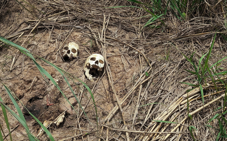 Human skulls suspected to belong to victims of a recent fight between the Congolese army and Kamuina Nsapu militia are seen March 12 on the roadside near Kananga, Congo. (CNS/Aaron Ross, Reuters)