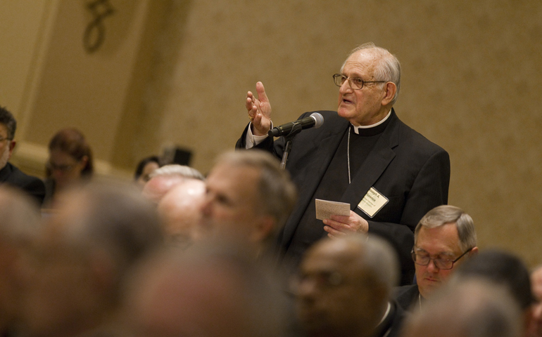 Archbishop Joseph A. Fiorenza of Galveston-Houston, Texas, address the U.S. bishops from the floor of their annual fall meeting Monday in Washington. (CNS/Nancy Phelan Wiechec)