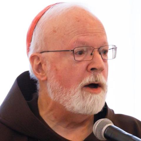 Cardinal Sean O'Malley