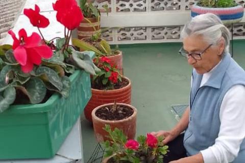 Hna. Nelly Jaramillo, SSJ, cuida las plantas de la comunidad en Bogotá, Colombia, regándolas con agua de lluvia  y abonándolas con residuos orgánicos. (Foto: Daylenis Lara, SSJ)