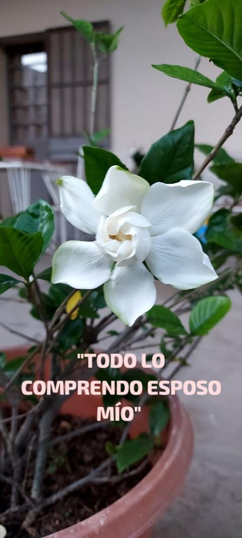 Jardín de la casa generalicia de las Hermanas Terciarias Misioneras Franciscanas en San Vicente, Córdoba, Argentina. (Foto: Mónica Correa)