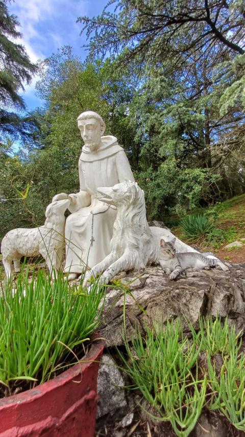 Casa de oración de las Misioneras Terciarias Franciscanas en Agua de Oro, Córdoba, Argentina. (Foto: cortesía de Claudia Navarro) 