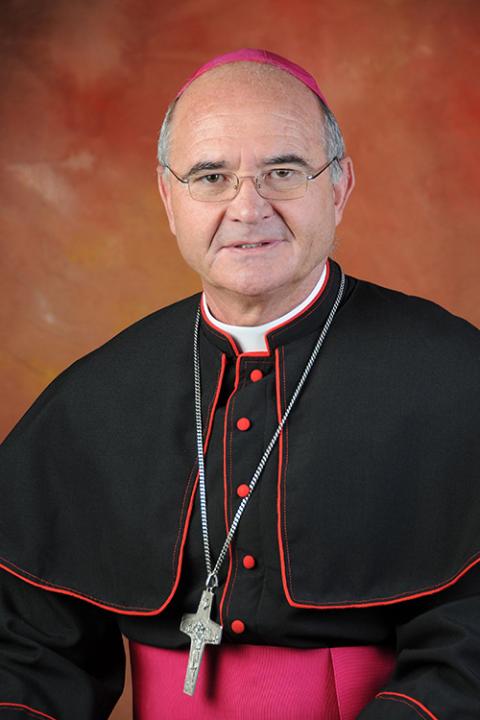 In this undated file photo, Cardinal Stephen Brislin, then-archbishop of Cape Town, South Africa, poses for a portrait. (CNS/Courtesy of Archdiocese of Cape Town)