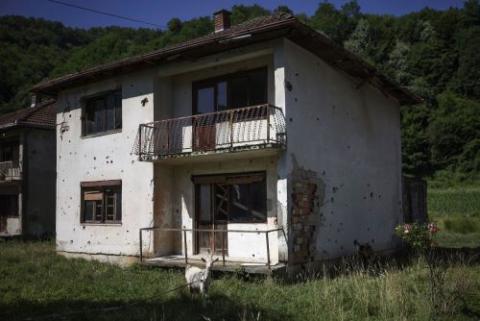 Goats are seen outside one of the destroyed houses in Potocari, Bosnia.