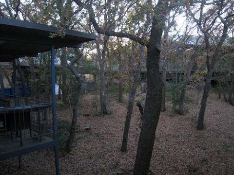 A view of the printmaking studios through a grove of trees in the Haggerty Art Village at the University of Dallas (Wikimedia Commons/Printcode17) A view of the printmaking studios through a grove of trees in the Haggerty Art Village at the University of Dallas (Wikimedia Commons/Printcode17)