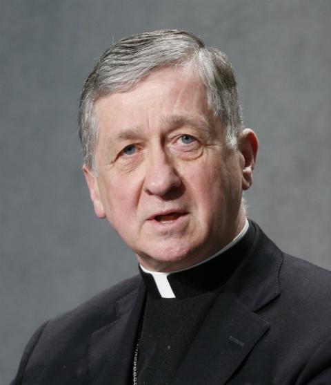 Chicago Cardinal Blase Cupich at the Vatican in February (CNS/Paul Haring) Chicago Cardinal Blase Cupich at the Vatican in February (CNS/Paul Haring)