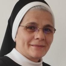 Author bio of Veridiana Bolfa