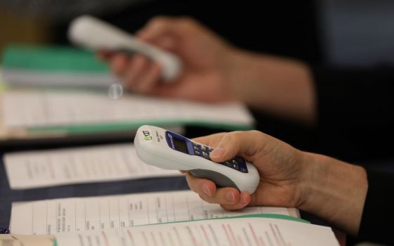 Bishops use electronic voting devices during the 2019 spring general assembly of the U.S. Conference of Catholic Bishops in Baltimore. (CNS/Bob Roller) 