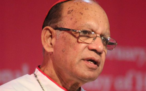 Indian Cardinal Oswald Gracias speaks at a meeting of Indian Catholic bishops in Bangalore in 2015. (CNS/Anto Akkara)