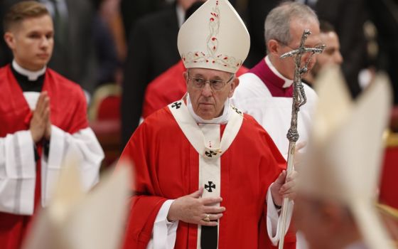 Pope Francis leaves after celebrating Mass marking the feast of Pentecost in St. Peter's Basilica at the Vatican May 20. (CNS/Paul Haring)