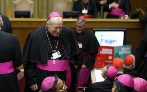 Bishop Robert McElroy of San Diego arrives for the first session of the Synod of Bishops for the Amazon at the Vatican Oct. 7. (CNS/Paul Haring)