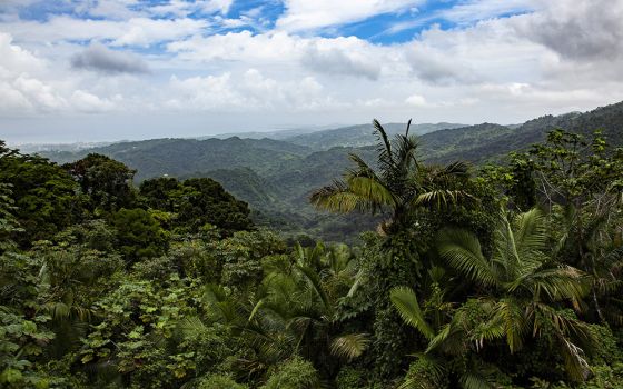 Puerto Rico's El Yunque National Forest is seen in this 2012 file photo. (CNS/Octavio Duran)