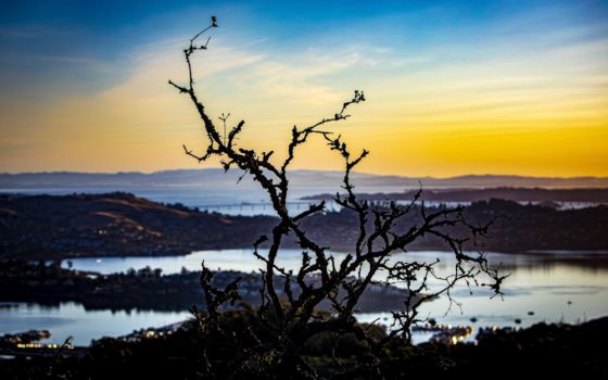 The sun illuminates the sky June 15 at Marin Headlands, California. (CNS/Chaz Muth)