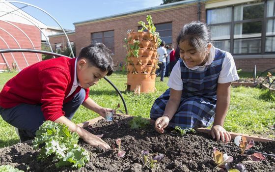 Students at St. Francis International School in Silver Spring, Maryland, tend lettuce and other greens in the school garden as a part of their environmental science curriculum in 2018. The Washington Archdiocese issued an action plan based on Laudato Si'.