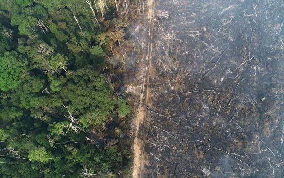 A tract of the Amazon jungle burns as it is cleared by loggers and farmers near Apui, Brazil, in August 2020. Pope Francis issued a joint message for the protection of creation together with Ecumenical Patriarch Bartholomew of Constantinople and Anglican 