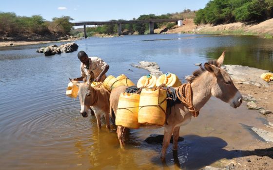 A man collects water from the Athi River near Yathui, Kenya, in October. He will use the water to irrigate crops on dry farmland. (CNS photo/Fredrick Nzwili)