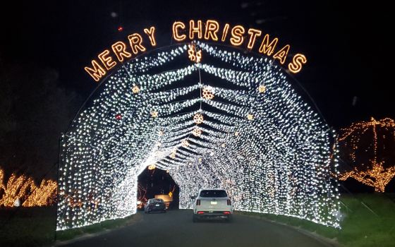 Each year, more than 1.5 million Christmas lights are strung for the Way of Lights display at the National Shrine of Our Lady of the Snows, in Belleville, Illinois. (NCR/Brian Roewe)