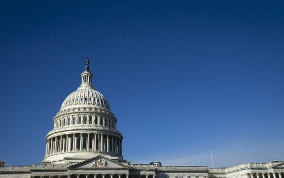 Democrats in the U.S. Senate reached a deal July 27 to secure $369 billion in investments on energy and climate change in what would represent the nation's largest-ever spending package to address the impacts of global warming. (CNS/Tyler Orsburn)