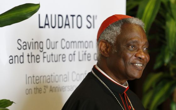 Cardinal Peter Turkson is pictured at a conference marking the third anniversary of Pope Francis' encyclical, "Laudato Si'," at the Vatican in this July 5, 2018, file photo. (CNS photo/Paul Haring)