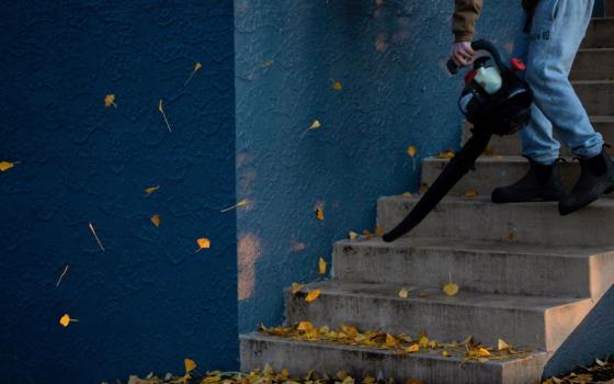 Person with leaf blower clears stairs