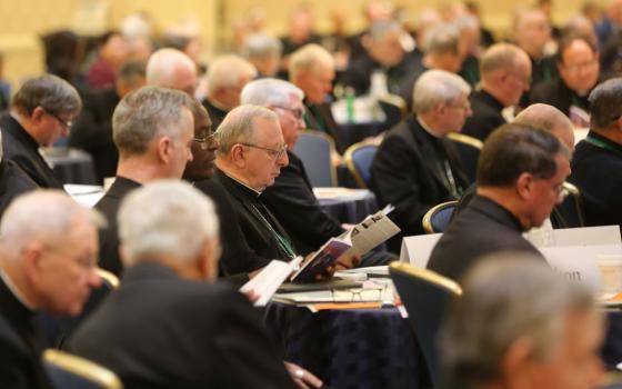 Bishops attend a Nov. 15 session of the fall general assembly of the U.S. Conference of Catholic Bishops in Baltimore. (CNS/Bob Roller)