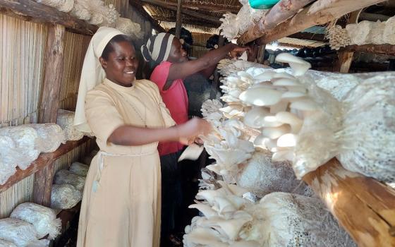 Sr. Rose Thumitho and women harvest mushrooms in Uganda. (Courtesy of Sr. Rose Thumitho)