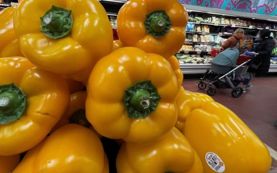 People shop at a grocery store in New York City March 10, 2022. (CNS/Reuters//Carlo Allegri)