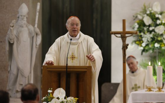 Cardinal Robert McElroy of San Diego gives the homily as he celebrates a Mass of thanksgiving at St. Patrick's Church in Rome in this Aug. 28, 2022, file photo. (CNS photo/Paul Haring)