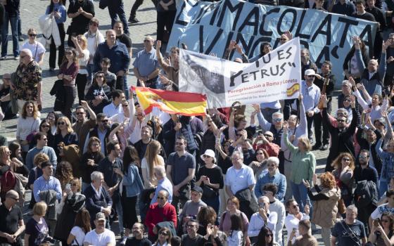 A crowd of people carries a Spanish flag, a sign that says Tu Es Petrus, and other signs