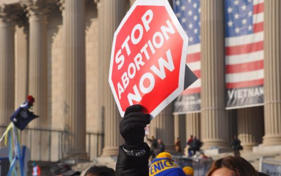 "Stop abortion now" sign at rally