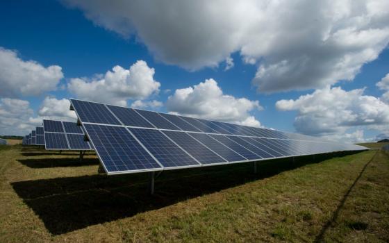 solar panels in a field with blue sky and clouds overhead 