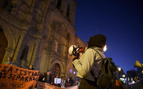 A person holds a megaphone while facing a cathedral at night. People with hand-painted banners stand in front of the cathedral