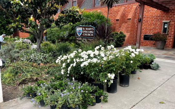 In the last century, Southern California has warmed by three degrees. The region is increasingly vulnerable to water scarcity, wildfires and coastal erosion. Small changes like those on St. Mary’s campus are an integral part of the wider Episcopal Church’s response to climate change. (Courtesy of St. Mary’s)