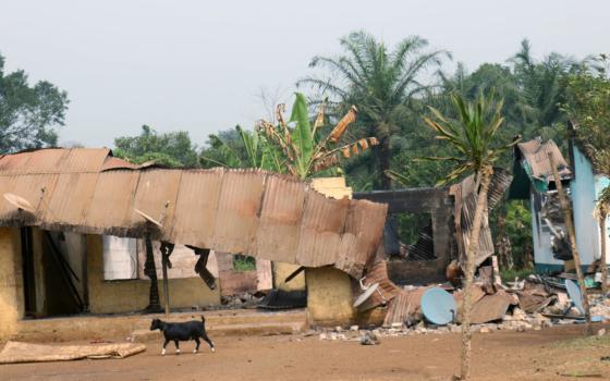 A burned building with a flimsy and crumpling roof is visible in front of palm trees